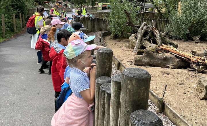 Image of Year 1 Knowsley Safari Park Trip